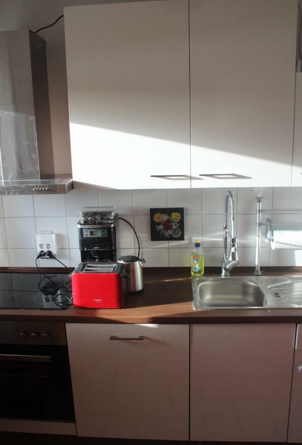 Ziebigk Appartement Deluxe Dessau-Rosslau المظهر الخارجي الصورة