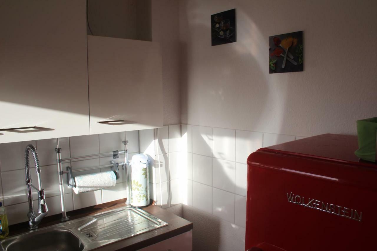 Ziebigk Appartement Deluxe Dessau-Rosslau المظهر الخارجي الصورة